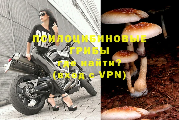 mdpv Аркадак